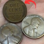 The Lincoln Wheat Penny Valued at $47 Million