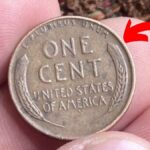 The Lincoln Wheat Penny Valued at $96K