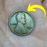 The Lincoln Wheat Penny Valued at $815K